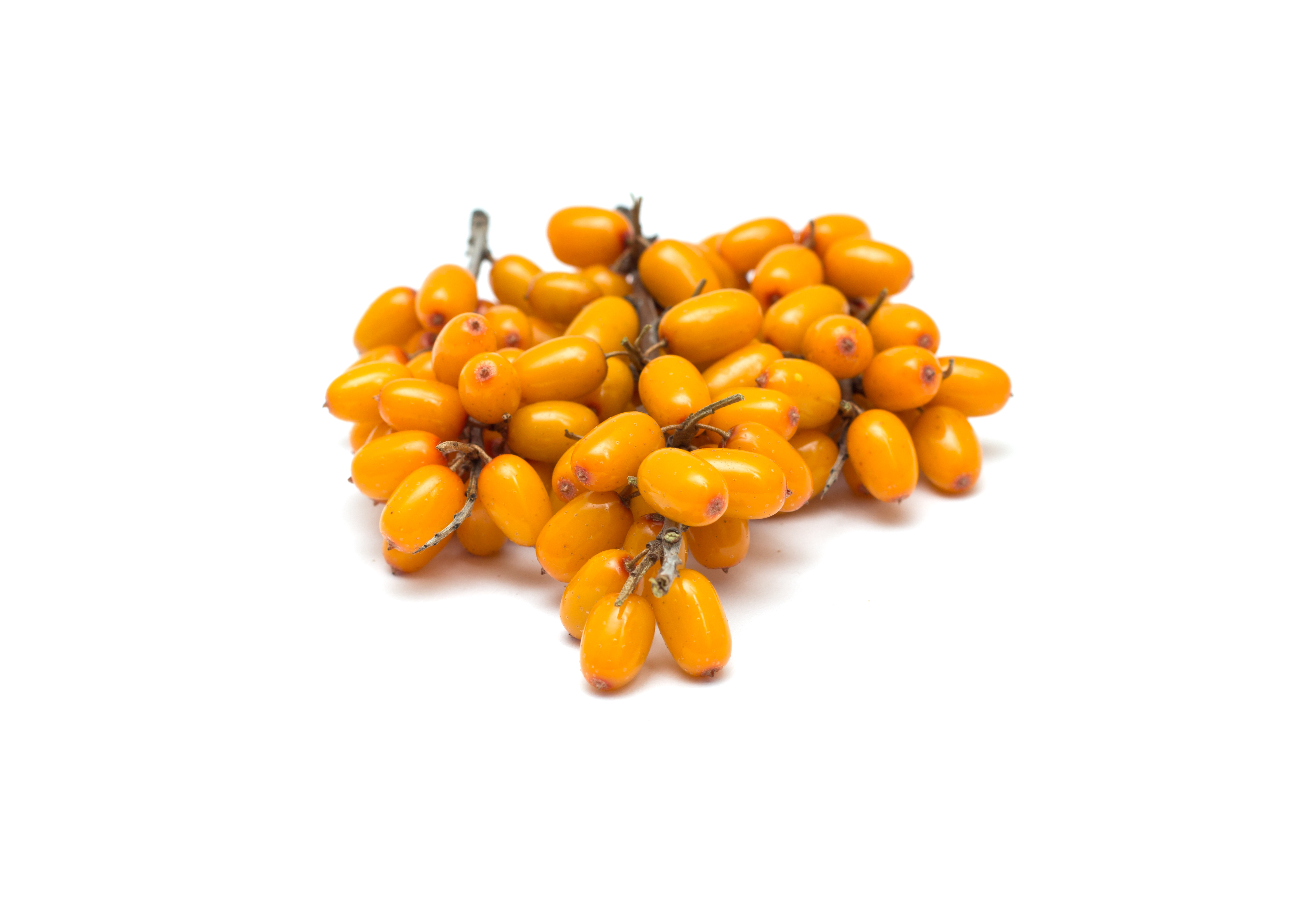 Organic Sea Buckthorn Berries, Frozen / lb